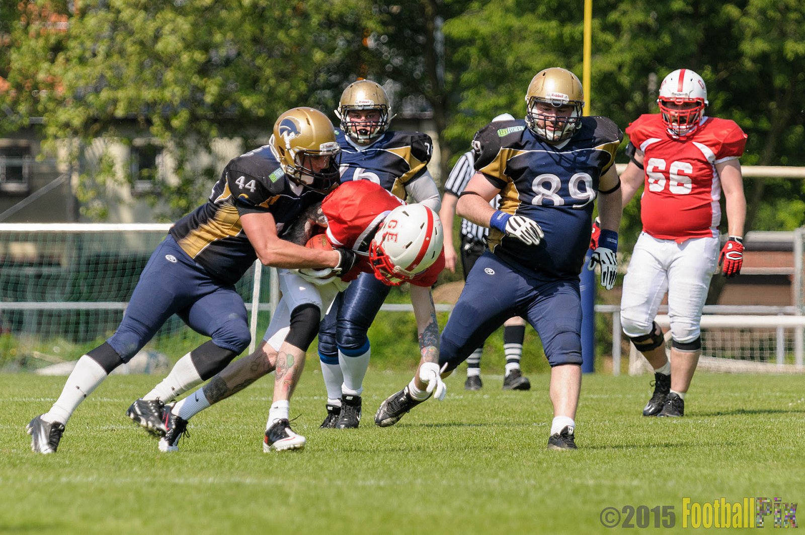 Schiefbahn Riders vs. Gelsenkirchen Devils - 10.05.2015 OL NRW: Schiefbahn Riders vs. Gelsenkirchen Devils (7:14)