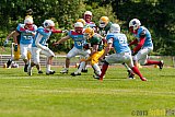 Cologne Crocodiles vs. Bonn Gamecocks - 24.05.2015 GFL2 Nord: Cologne Crocodiles vs. Bonn Gamecocks (18:8)