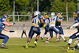 Essen Assindia Cardinals vs. Remscheid Amboss - 30.05.2015 RL NRW: Essen Assindia Cardinals vs. Remscheid Amboss (48:14)