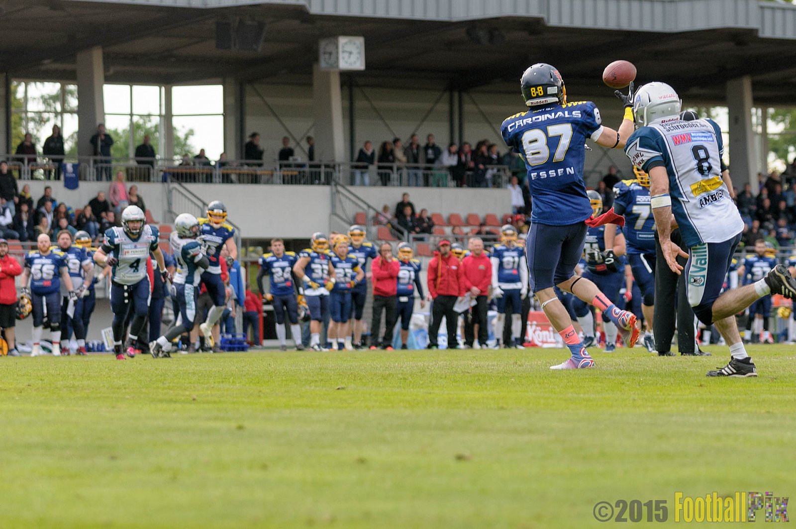Essen Assindia Cardinals vs. Remscheid Amboss - 30.05.2015 RL NRW: Essen Assindia Cardinals vs. Remscheid Amboss (48:14)