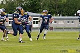 Essen Assindia Cardinals vs. Remscheid Amboss - 30.05.2015 RL NRW: Essen Assindia Cardinals vs. Remscheid Amboss (48:14)