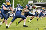 Essen Assindia Cardinals vs. Remscheid Amboss - 30.05.2015 RL NRW: Essen Assindia Cardinals vs. Remscheid Amboss (48:14)