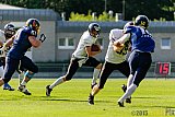 Essen Assindia Cardinals vs. Langenfeld Longhorns - 06.06.2015 RL NRW: Essen Assindia Cardinals vs. Langenfeld Longhorns (10:14)