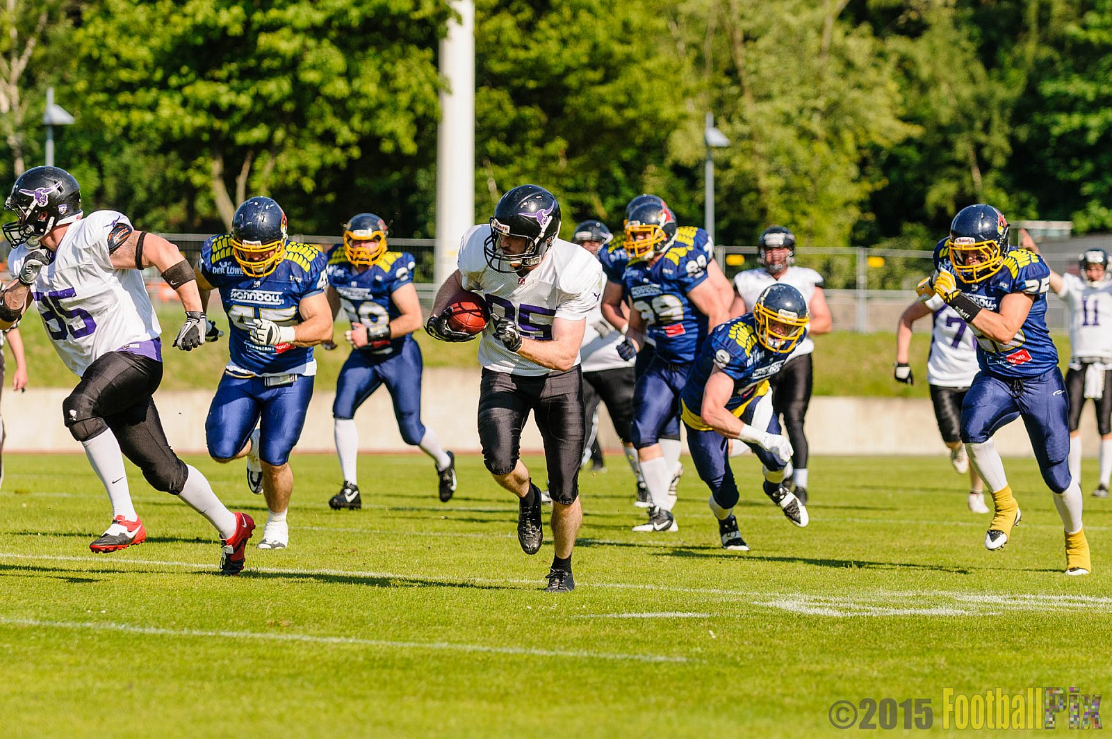 Essen Assindia Cardinals vs. Langenfeld Longhorns - 06.06.2015 RL NRW: Essen Assindia Cardinals vs. Langenfeld Longhorns (10:14)