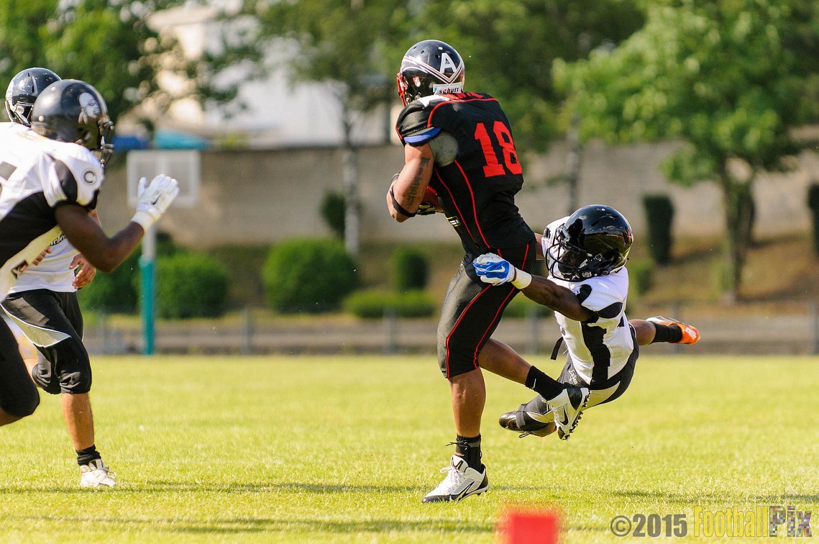 Düsseldorf Panther vs. Berlin Rebels - 13.06.2015 GFL Nord: Düsseldorf Panther vs. Berlin Rebels (3:24)