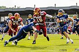 Essen Assindia Cardinals vs. Troisdorf Jets - 21.06.2015 RL NRW: Essen Assindia Cardinals vs. Troisdorf Jets (24:9)