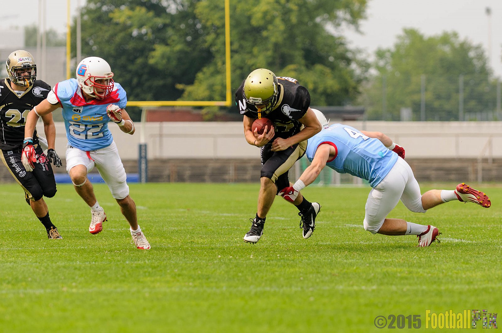 Bonn Gamecocks vs. Paderborn Dolphins - 08.08.2015 GFL2 Nord: Bonn Gamecocks vs. Paderborn Dolphins (49:35)