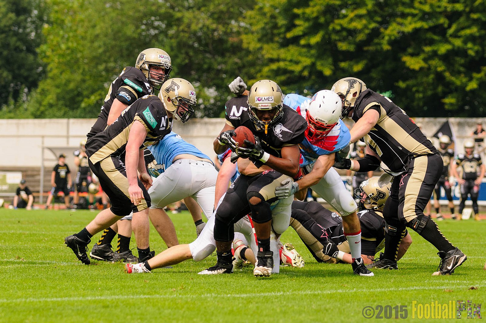 Bonn Gamecocks vs. Paderborn Dolphins - 08.08.2015 GFL2 Nord: Bonn Gamecocks vs. Paderborn Dolphins (49:35)