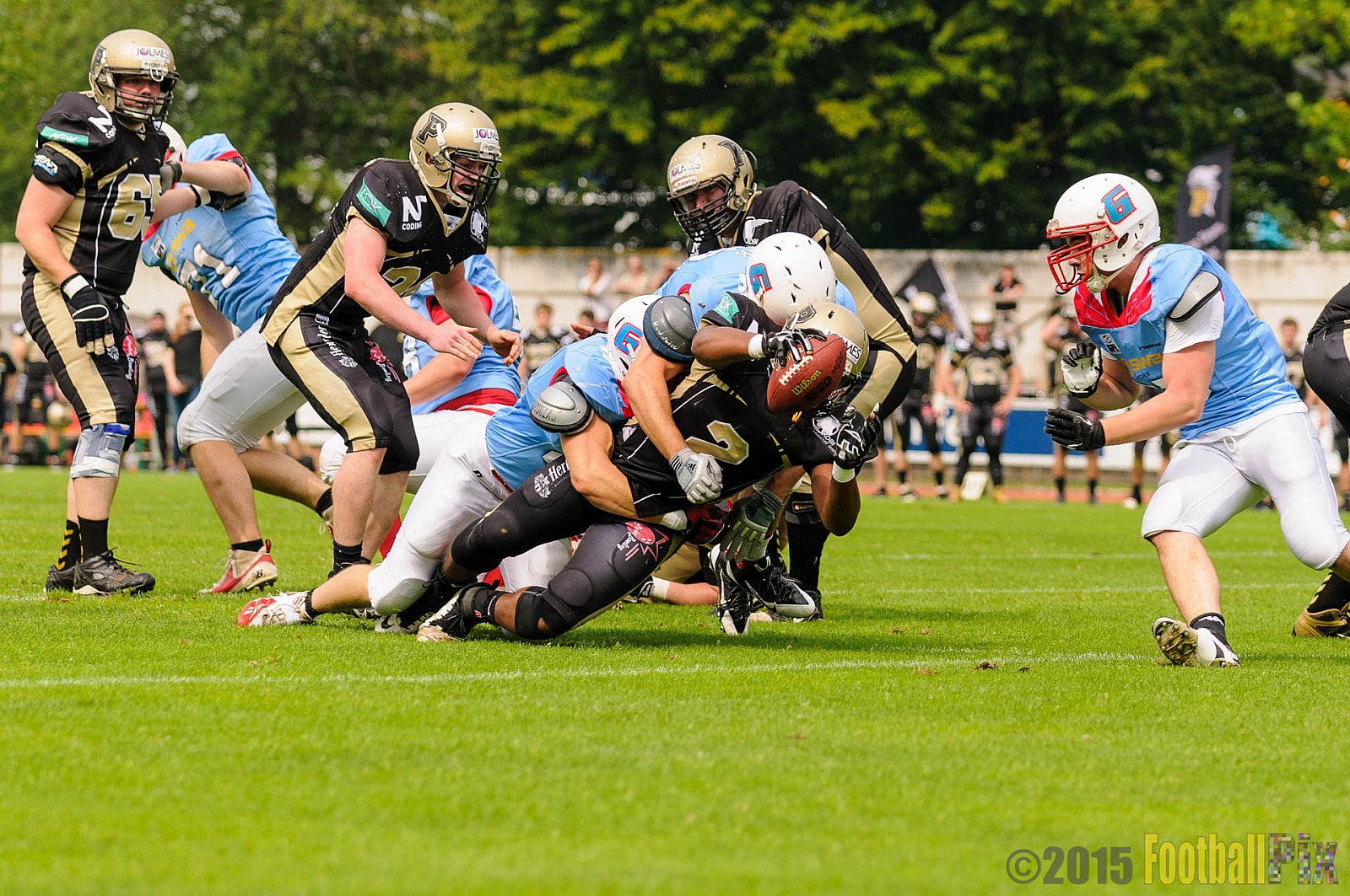 Bonn Gamecocks vs. Paderborn Dolphins - 08.08.2015 GFL2 Nord: Bonn Gamecocks vs. Paderborn Dolphins (49:35)