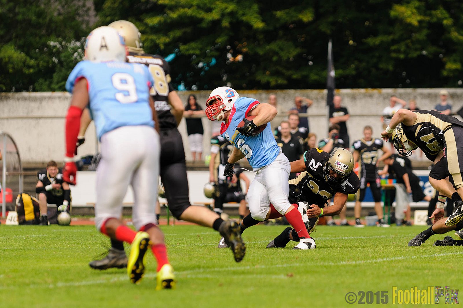 Bonn Gamecocks vs. Paderborn Dolphins - 08.08.2015 GFL2 Nord: Bonn Gamecocks vs. Paderborn Dolphins (49:35)