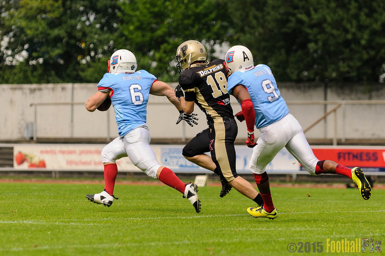 Bonn Gamecocks vs. Paderborn Dolphins - 08.08.2015 GFL2 Nord: Bonn Gamecocks vs. Paderborn Dolphins (49:35)