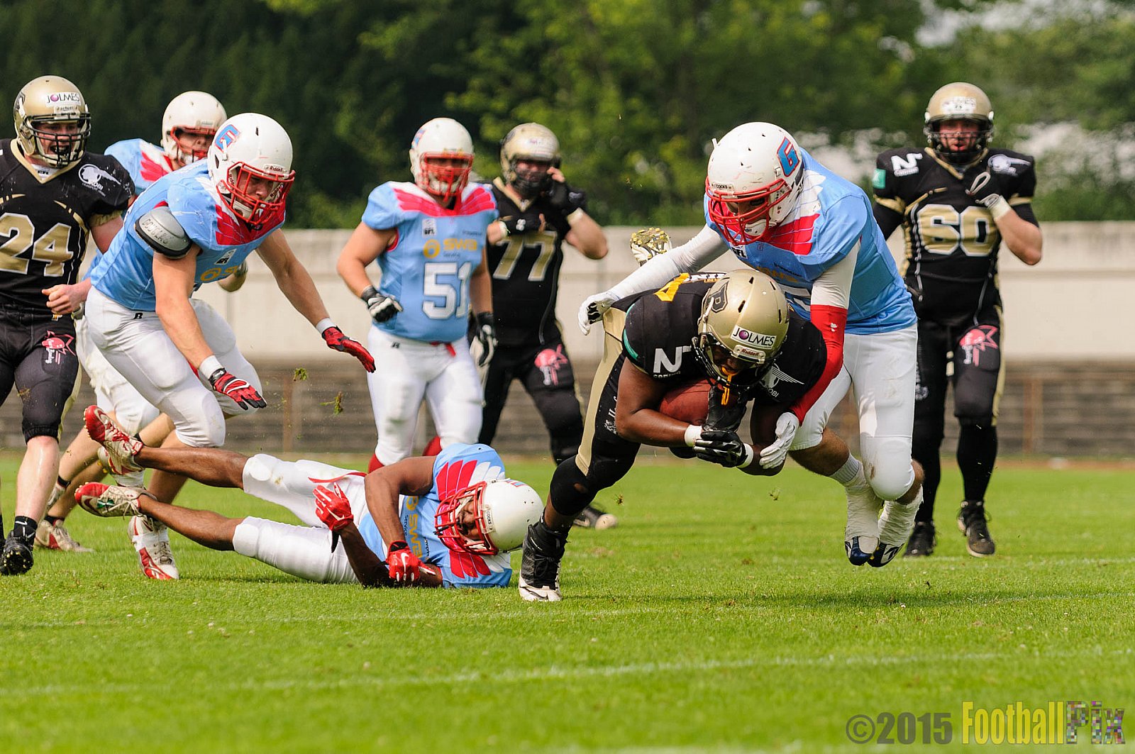 Bonn Gamecocks vs. Paderborn Dolphins - 08.08.2015 GFL2 Nord: Bonn Gamecocks vs. Paderborn Dolphins (49:35)