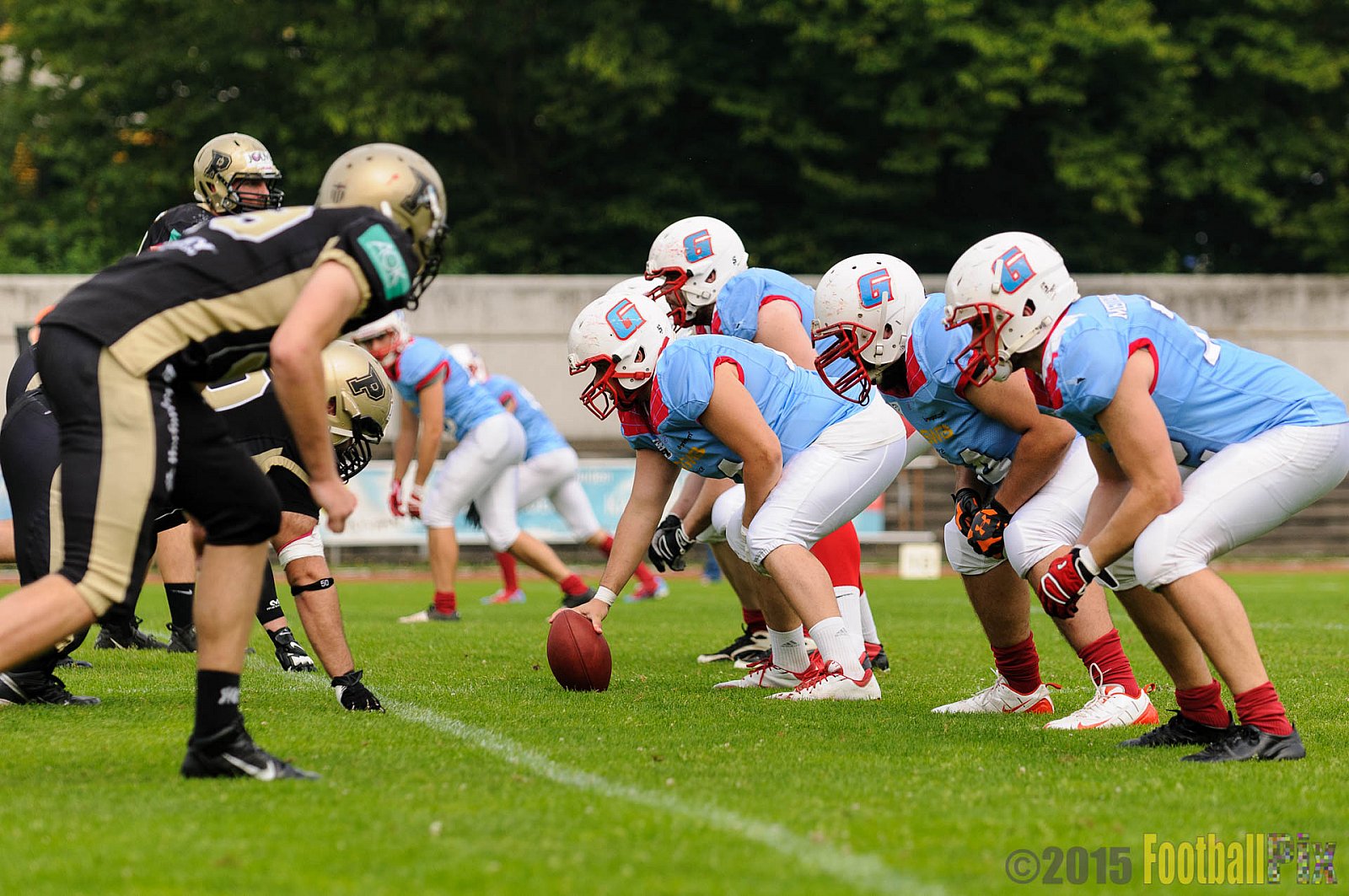 Bonn Gamecocks vs. Paderborn Dolphins - 08.08.2015 GFL2 Nord: Bonn Gamecocks vs. Paderborn Dolphins (49:35)