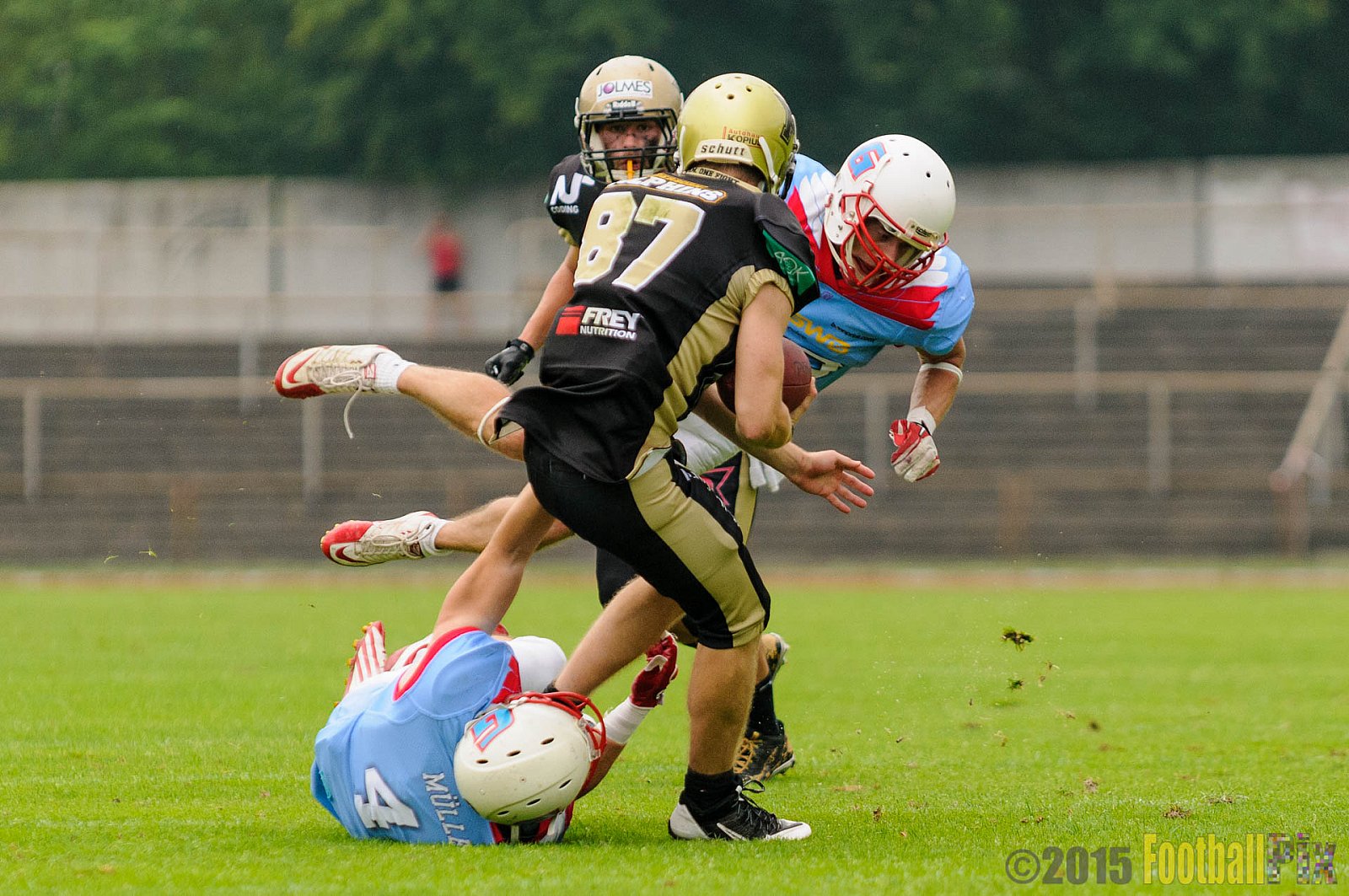 Bonn Gamecocks vs. Paderborn Dolphins - 08.08.2015 GFL2 Nord: Bonn Gamecocks vs. Paderborn Dolphins (49:35)
