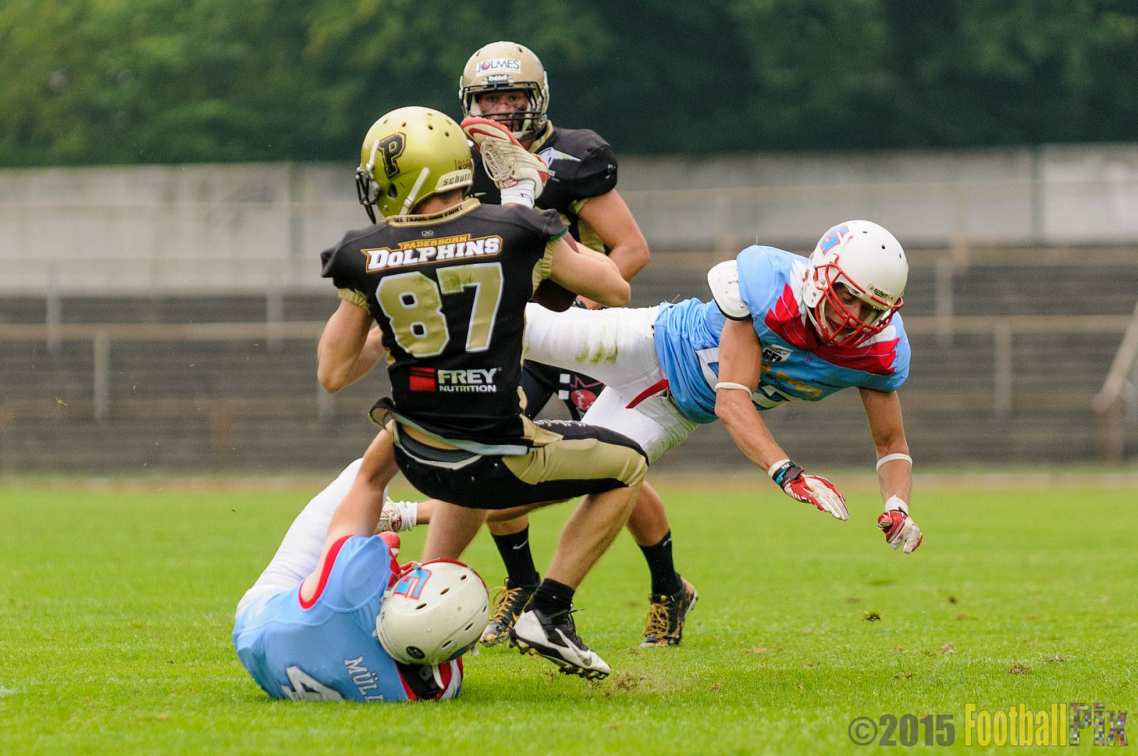 Bonn Gamecocks vs. Paderborn Dolphins - 08.08.2015 GFL2 Nord: Bonn Gamecocks vs. Paderborn Dolphins (49:35)