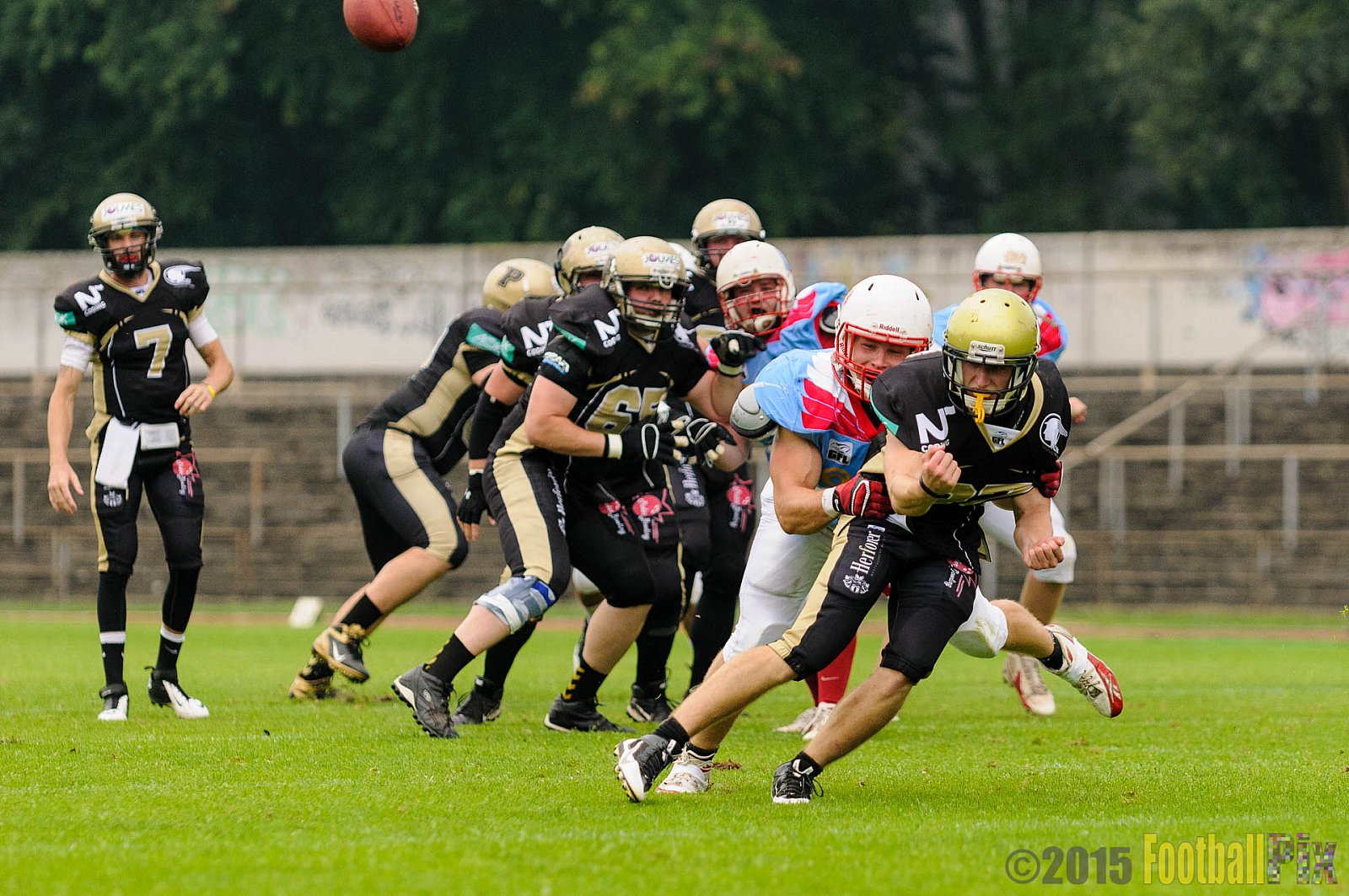 Bonn Gamecocks vs. Paderborn Dolphins - 08.08.2015 GFL2 Nord: Bonn Gamecocks vs. Paderborn Dolphins (49:35)