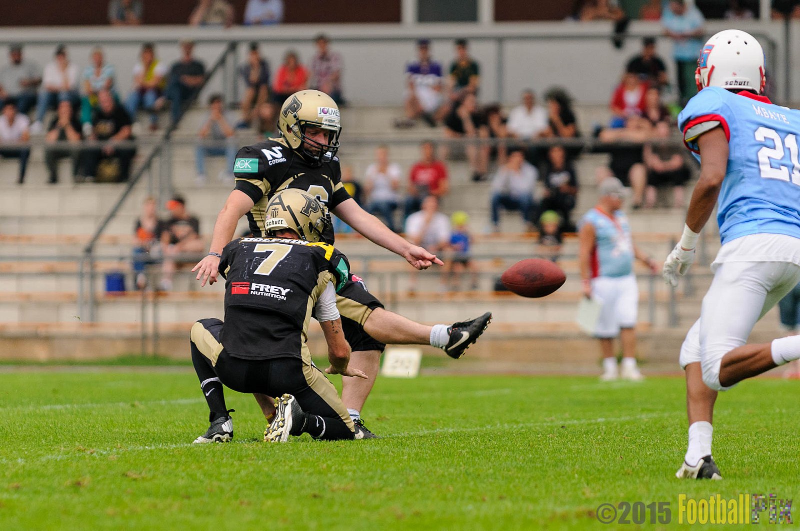 Bonn Gamecocks vs. Paderborn Dolphins - 08.08.2015 GFL2 Nord: Bonn Gamecocks vs. Paderborn Dolphins (49:35)