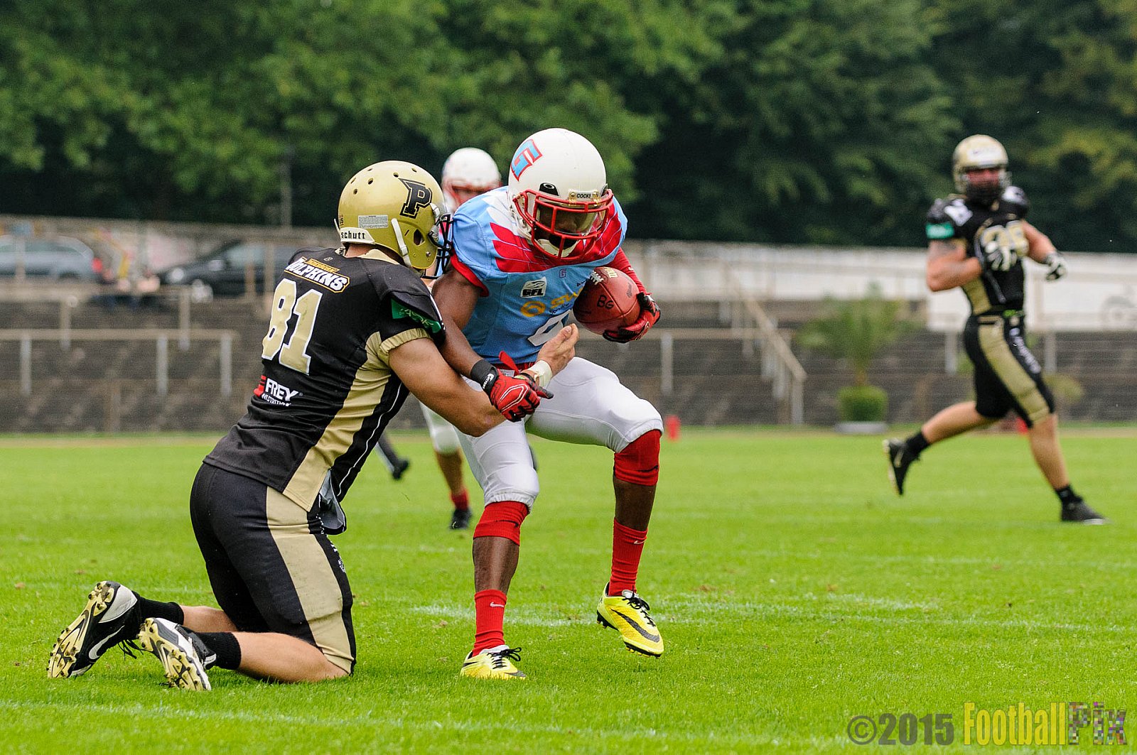 Bonn Gamecocks vs. Paderborn Dolphins - 08.08.2015 GFL2 Nord: Bonn Gamecocks vs. Paderborn Dolphins (49:35)