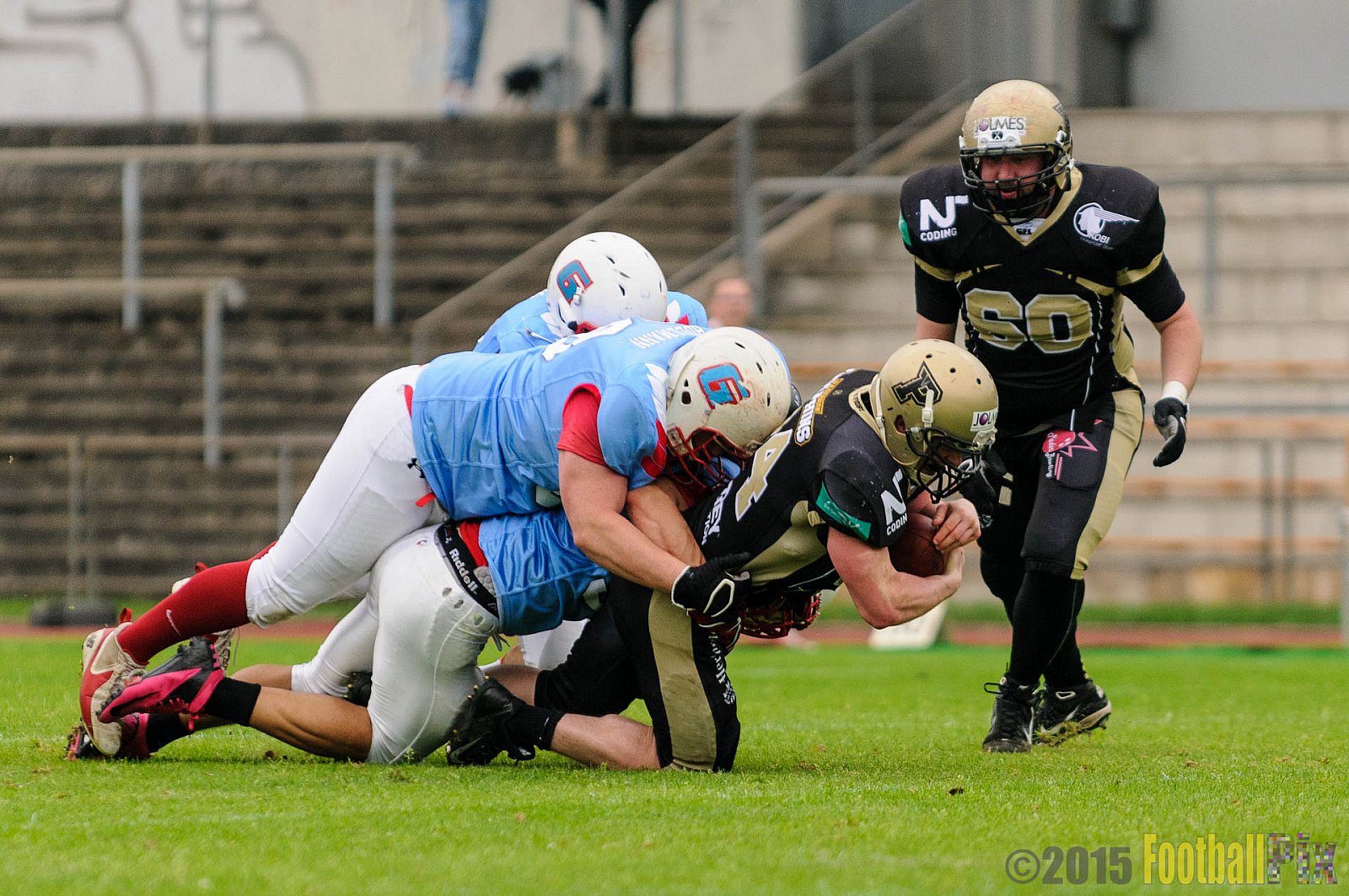Bonn Gamecocks vs. Paderborn Dolphins - 08.08.2015 GFL2 Nord: Bonn Gamecocks vs. Paderborn Dolphins (49:35)