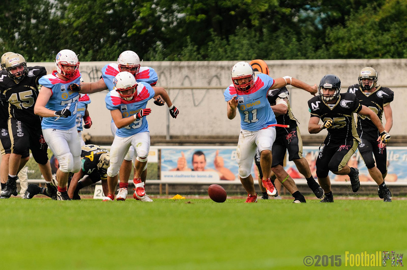 Bonn Gamecocks vs. Paderborn Dolphins - 08.08.2015 GFL2 Nord: Bonn Gamecocks vs. Paderborn Dolphins (49:35)