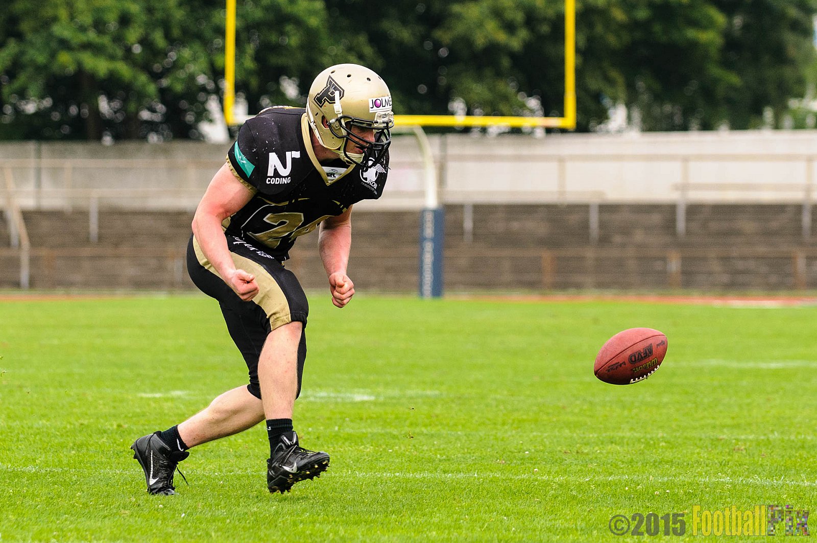 Bonn Gamecocks vs. Paderborn Dolphins - 08.08.2015 GFL2 Nord: Bonn Gamecocks vs. Paderborn Dolphins (49:35)