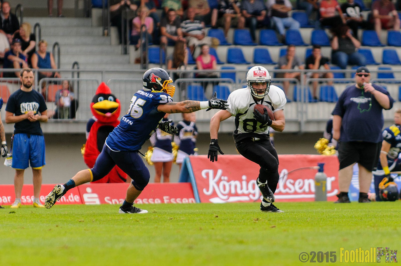 Essen Assindia Cardinals vs. Aachen Vampires - 15.08.2015 RL NRW: Essen Assindia Cardinals vs. Aachen Vampires (28:10)