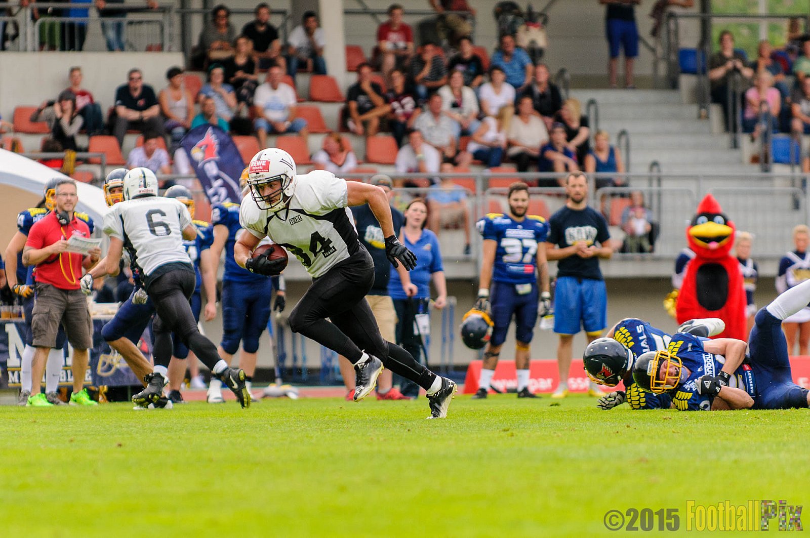 Essen Assindia Cardinals vs. Aachen Vampires - 15.08.2015 RL NRW: Essen Assindia Cardinals vs. Aachen Vampires (28:10)