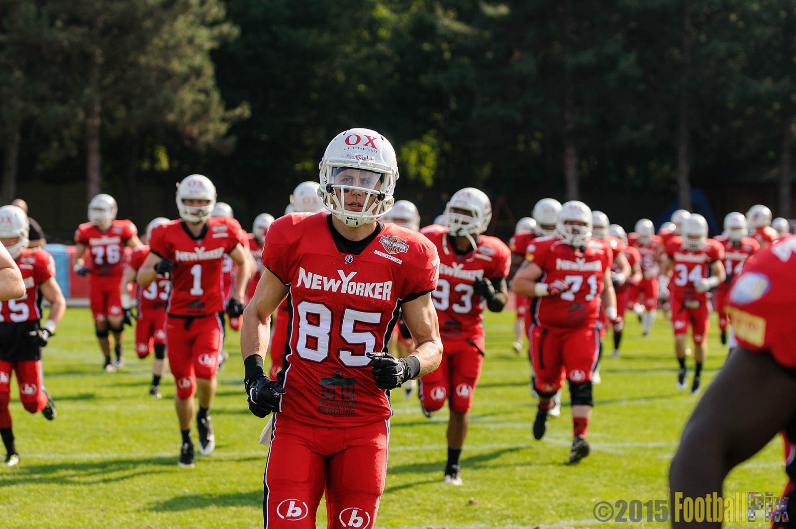 Düsseldorf Panther vs. NewYorker Lions Braunschweig - 22.08.2015 GFL Nord: Düsseldorf Panther vs. NewYorker Lions Braunschweig (0:56)