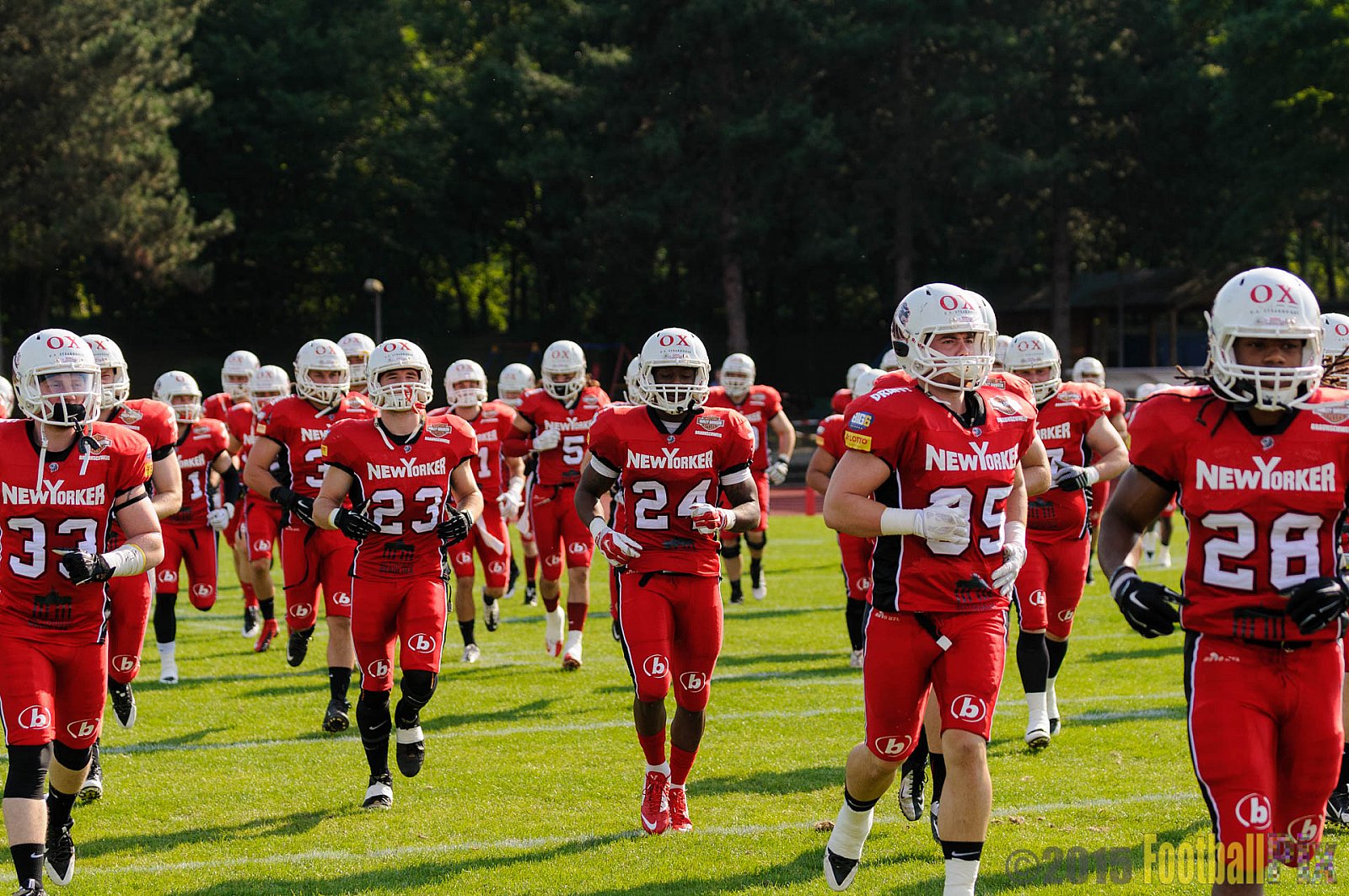Düsseldorf Panther vs. NewYorker Lions Braunschweig - 22.08.2015 GFL Nord: Düsseldorf Panther vs. NewYorker Lions Braunschweig (0:56)