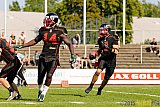 Düsseldorf Panther vs. NewYorker Lions Braunschweig - 22.08.2015 GFL Nord: Düsseldorf Panther vs. NewYorker Lions Braunschweig (0:56)