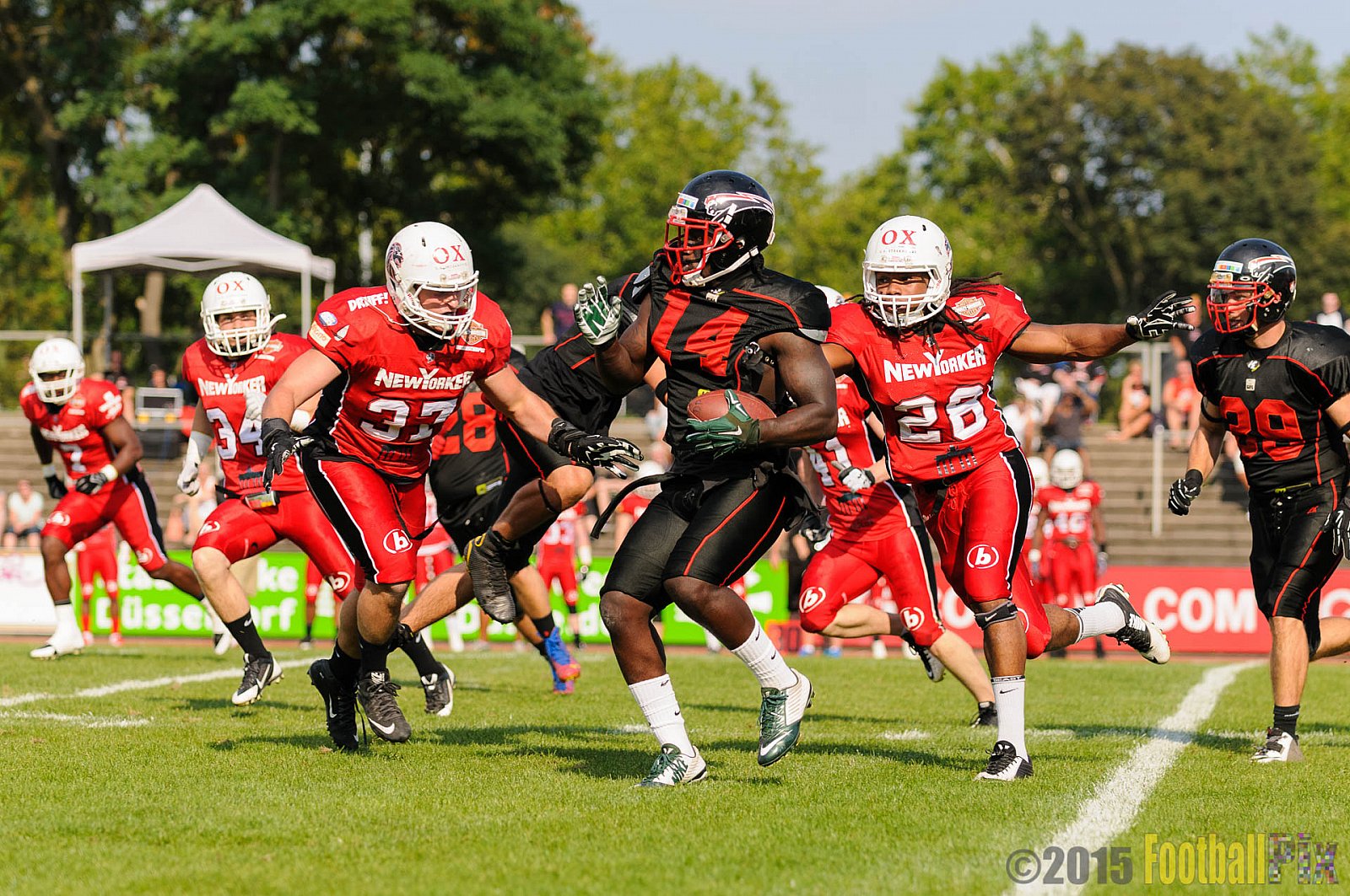 Düsseldorf Panther vs. NewYorker Lions Braunschweig - 22.08.2015 GFL Nord: Düsseldorf Panther vs. NewYorker Lions Braunschweig (0:56)