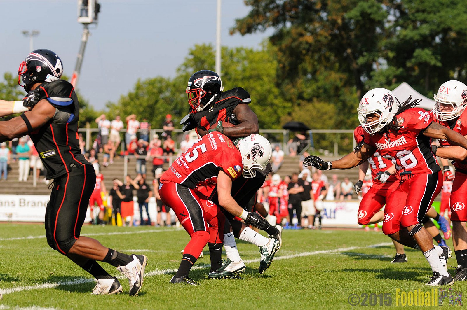 Düsseldorf Panther vs. NewYorker Lions Braunschweig - 22.08.2015 GFL Nord: Düsseldorf Panther vs. NewYorker Lions Braunschweig (0:56)