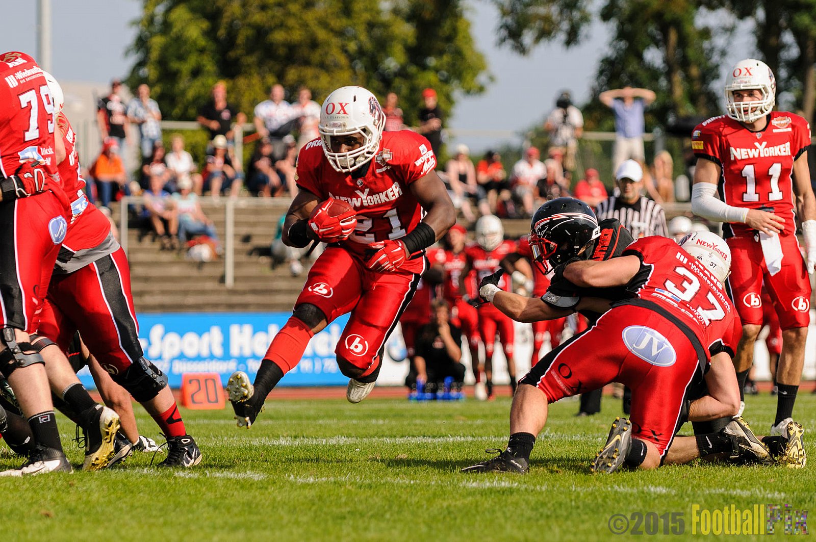 Düsseldorf Panther vs. NewYorker Lions Braunschweig - 22.08.2015 GFL Nord: Düsseldorf Panther vs. NewYorker Lions Braunschweig (0:56)