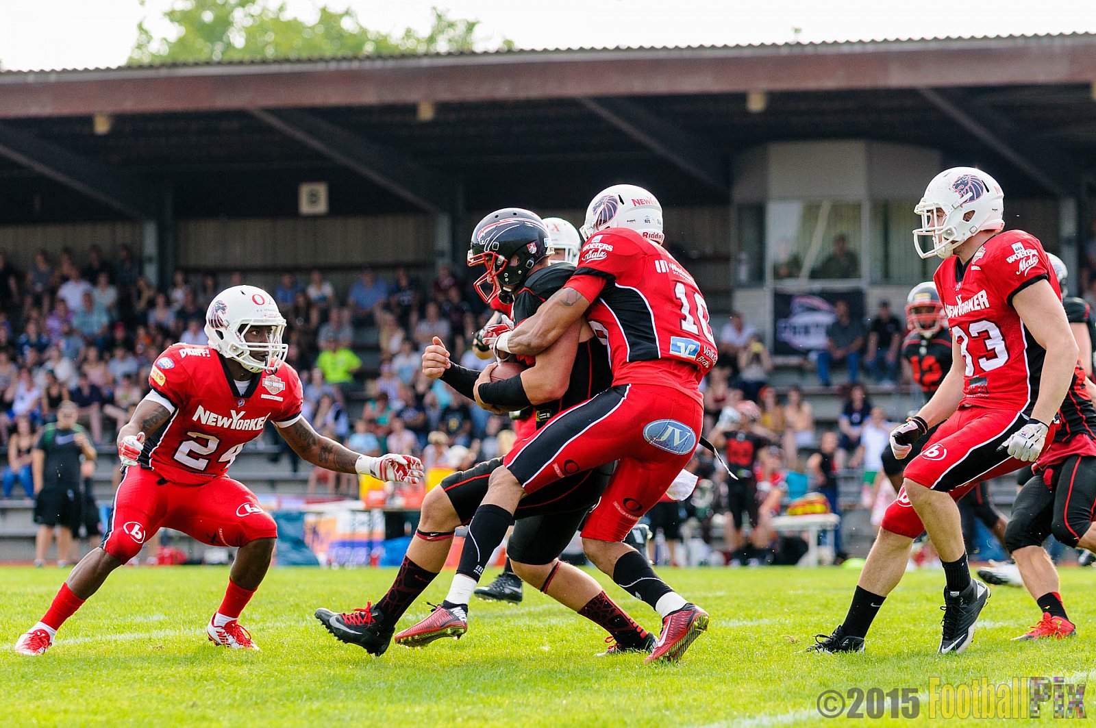 Düsseldorf Panther vs. NewYorker Lions Braunschweig - 22.08.2015 GFL Nord: Düsseldorf Panther vs. NewYorker Lions Braunschweig (0:56)