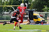 Düsseldorf Panther vs. NewYorker Lions Braunschweig - 22.08.2015 GFL Nord: Düsseldorf Panther vs. NewYorker Lions Braunschweig (0:56)