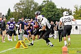 Langenfeld Longhorns vs. Aachen Vampires - 23.08.2015 RL NRW: Langenfeld Longhorns vs. Aachen Vampires (20:14)