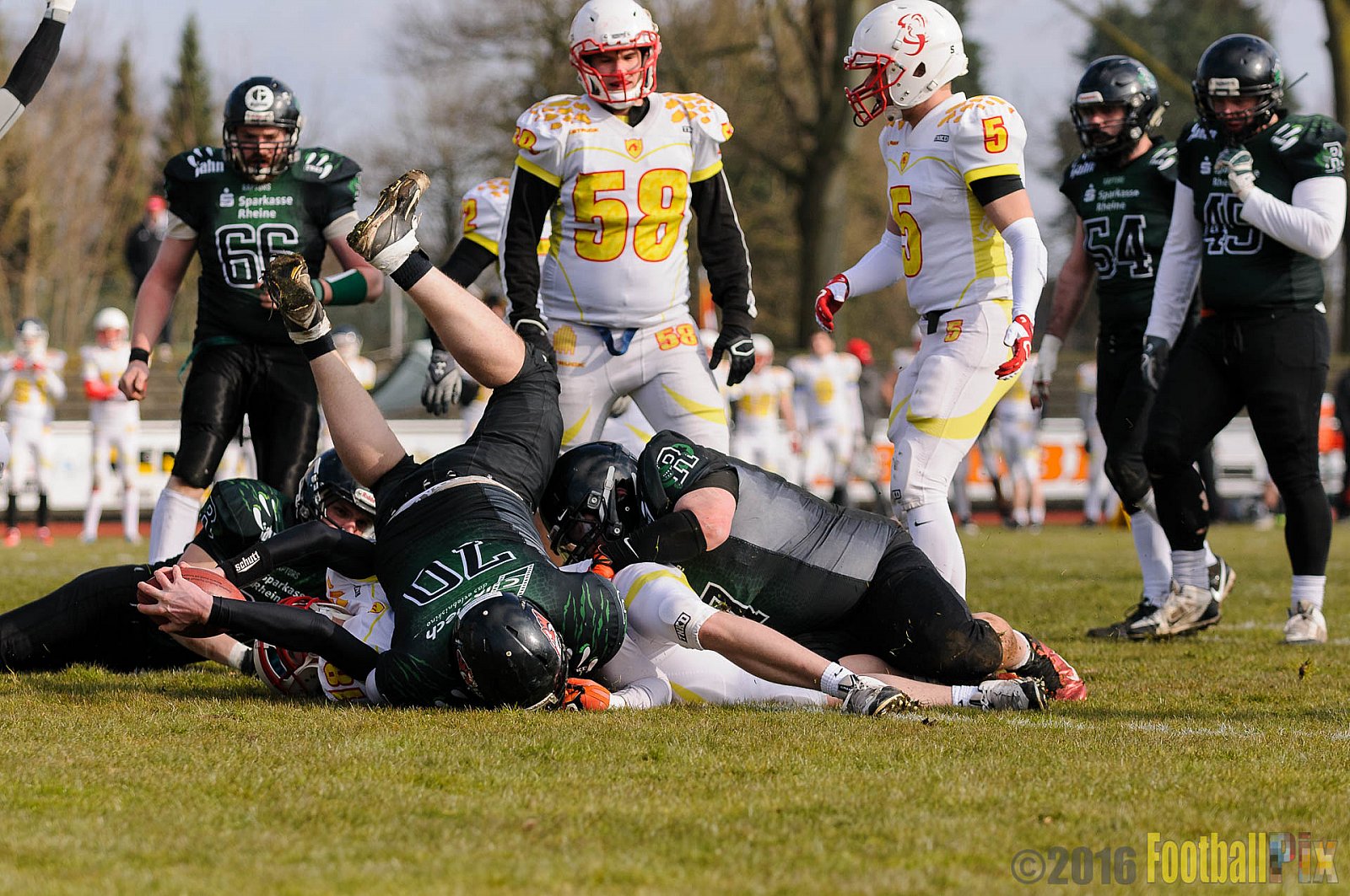 Pre-Season Game Rheine Raptors vs. Münster Mammuts  - 13.03.2016 Pre-Season Game: Rheine Raptors vs. Münster Mammuts (0:14)