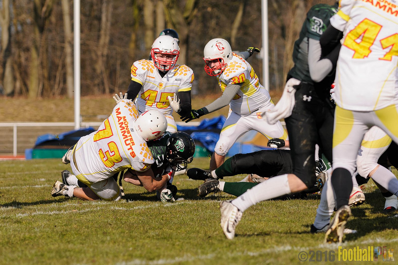 Pre-Season Game Rheine Raptors vs. Münster Mammuts  - 13.03.2016 Pre-Season Game: Rheine Raptors vs. Münster Mammuts (0:14)