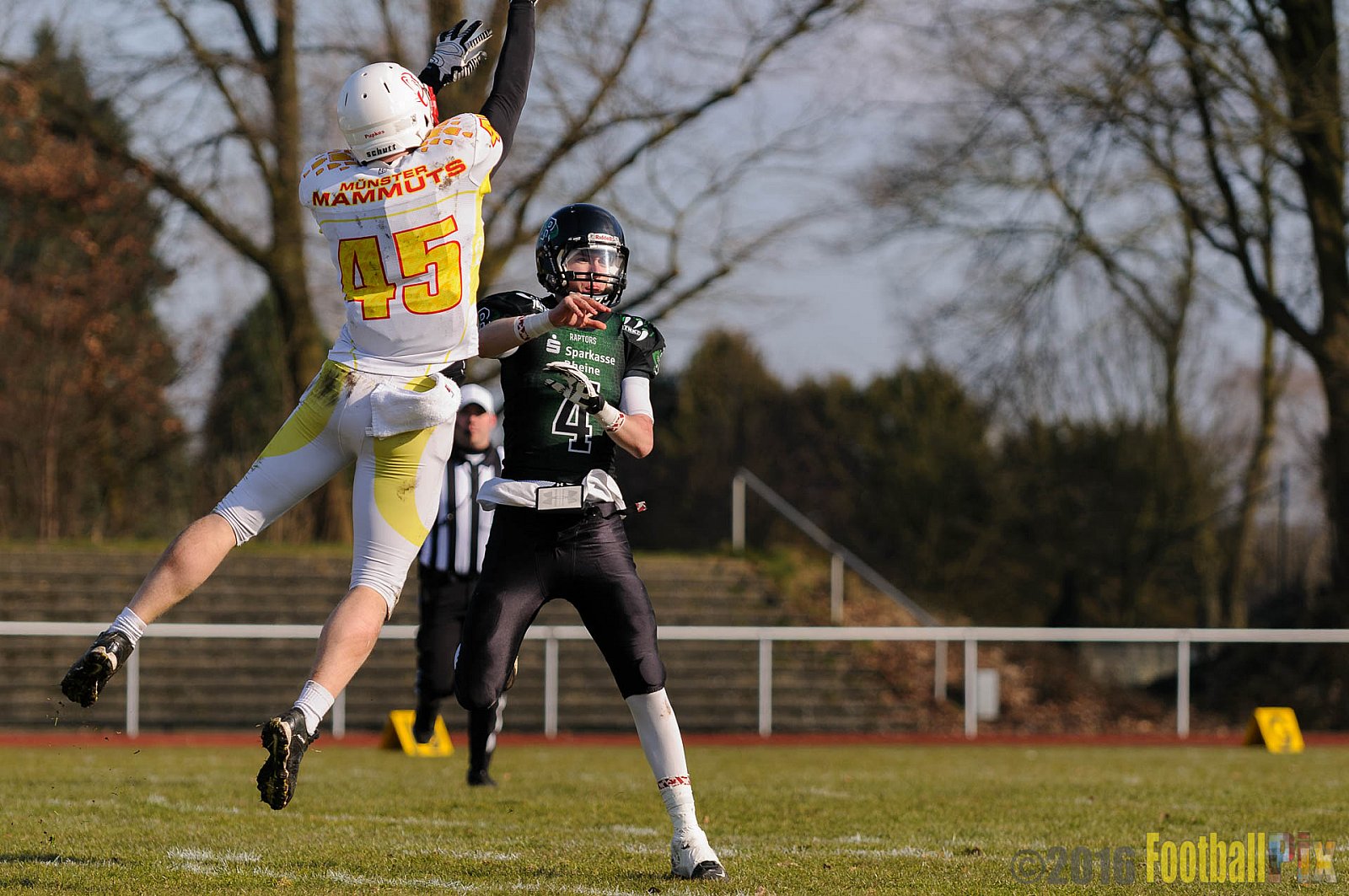 Pre-Season Game Rheine Raptors vs. Münster Mammuts  - 13.03.2016 Pre-Season Game: Rheine Raptors vs. Münster Mammuts (0:14)