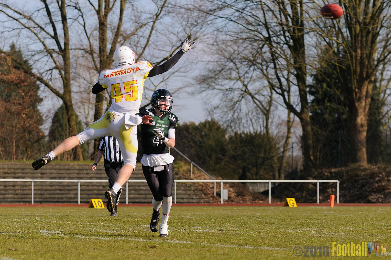 Pre-Season Game Rheine Raptors vs. Münster Mammuts  - 13.03.2016 Pre-Season Game: Rheine Raptors vs. Münster Mammuts (0:14)