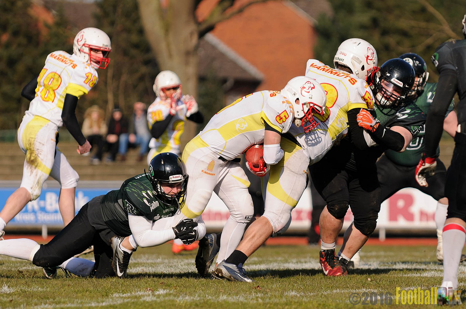 Pre-Season Game Rheine Raptors vs. Münster Mammuts  - 13.03.2016 Pre-Season Game: Rheine Raptors vs. Münster Mammuts (0:14)