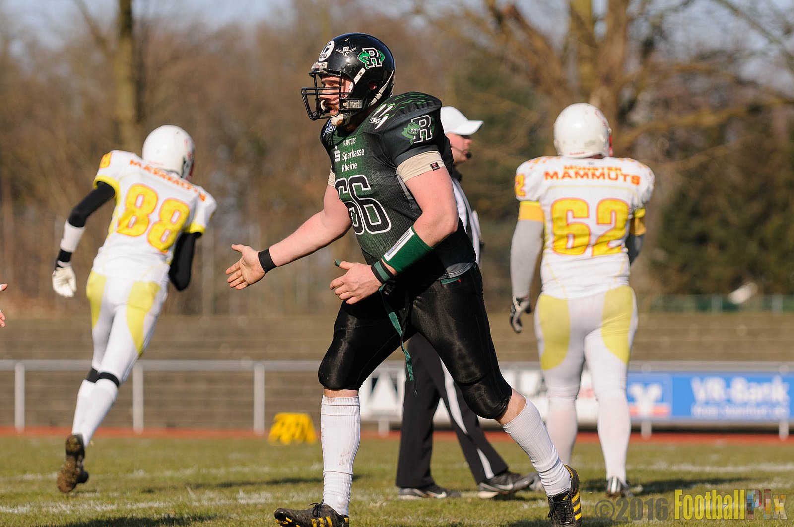 Pre-Season Game Rheine Raptors vs. Münster Mammuts  - 13.03.2016 Pre-Season Game: Rheine Raptors vs. Münster Mammuts (0:14)