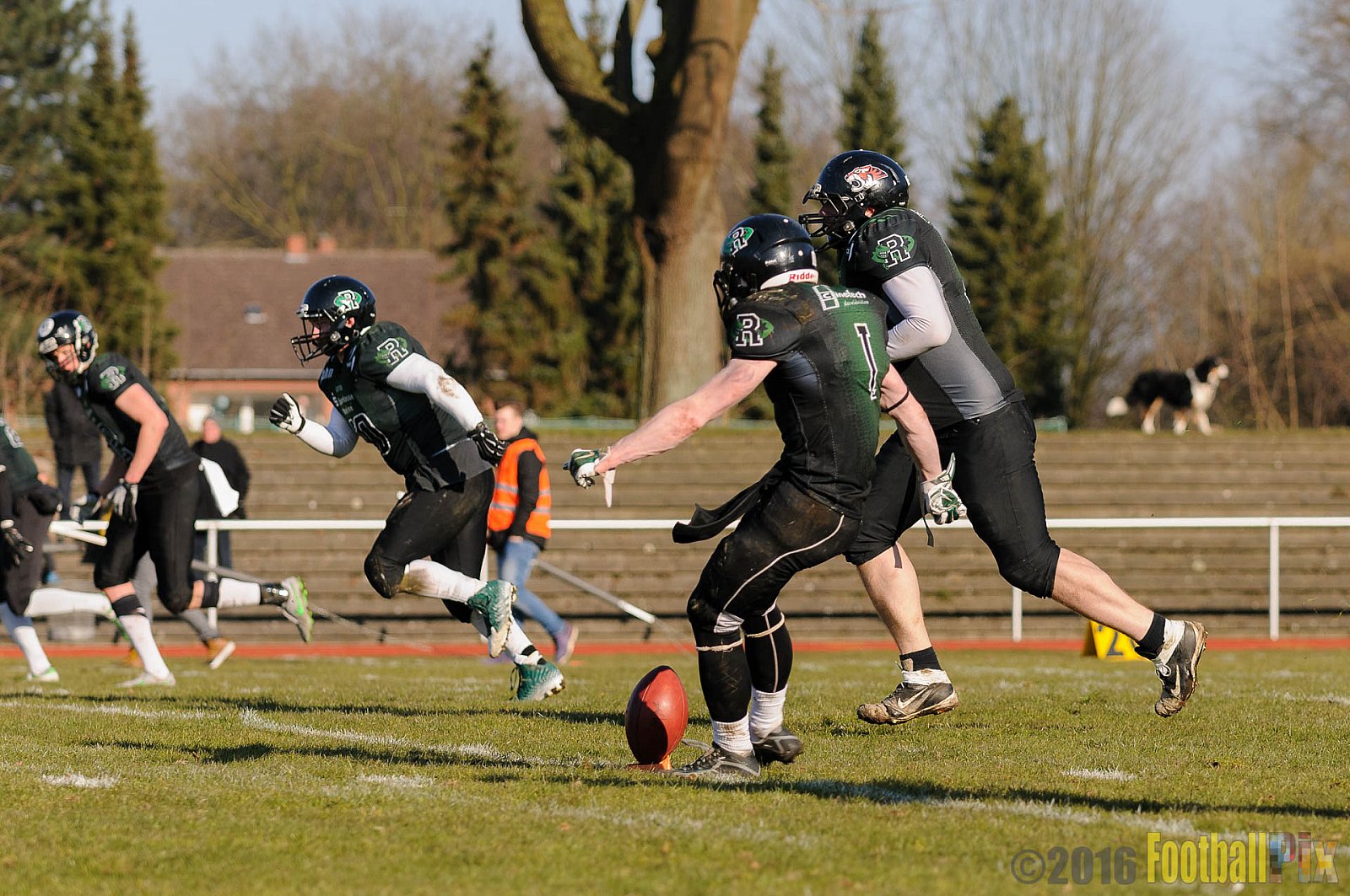 Pre-Season Game Rheine Raptors vs. Münster Mammuts  - 13.03.2016 Pre-Season Game: Rheine Raptors vs. Münster Mammuts (0:14)