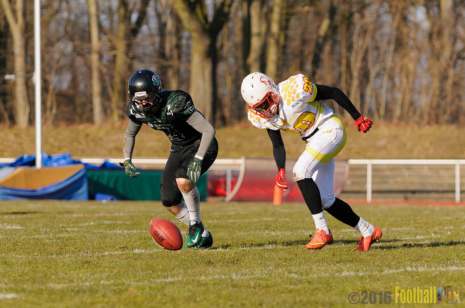 Pre-Season Game Rheine Raptors vs. Münster Mammuts  - 13.03.2016 Pre-Season Game: Rheine Raptors vs. Münster Mammuts (0:14)