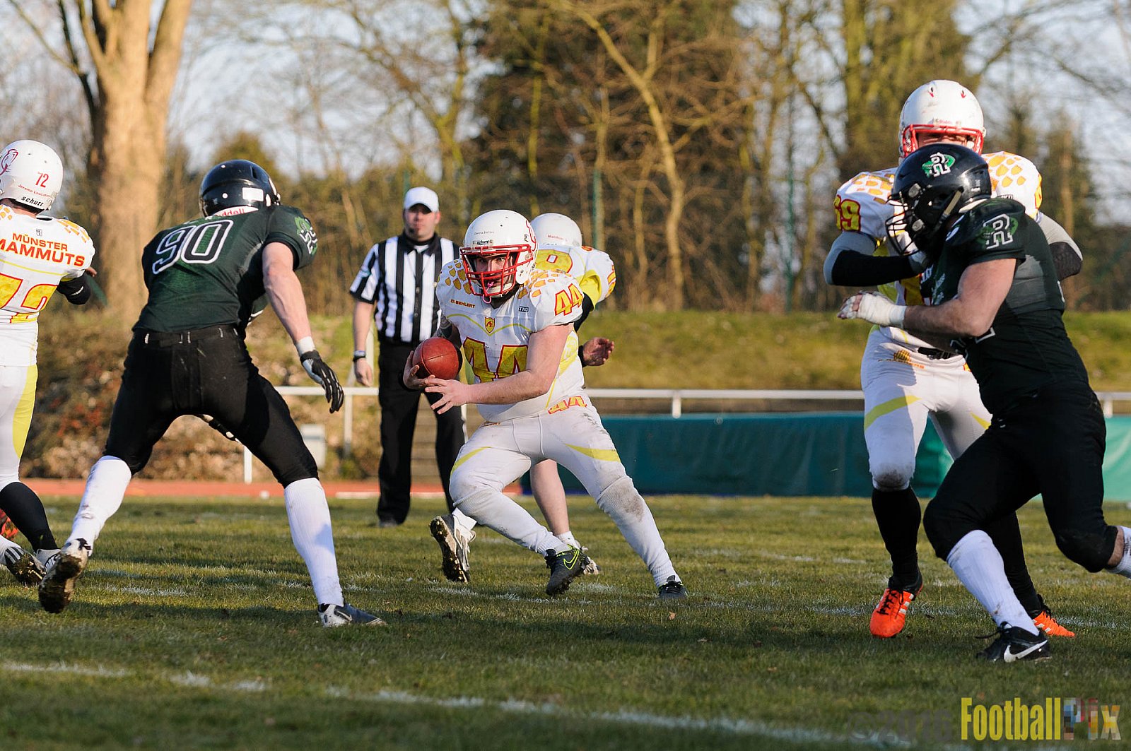 Pre-Season Game Rheine Raptors vs. Münster Mammuts  - 13.03.2016 Pre-Season Game: Rheine Raptors vs. Münster Mammuts (0:14)