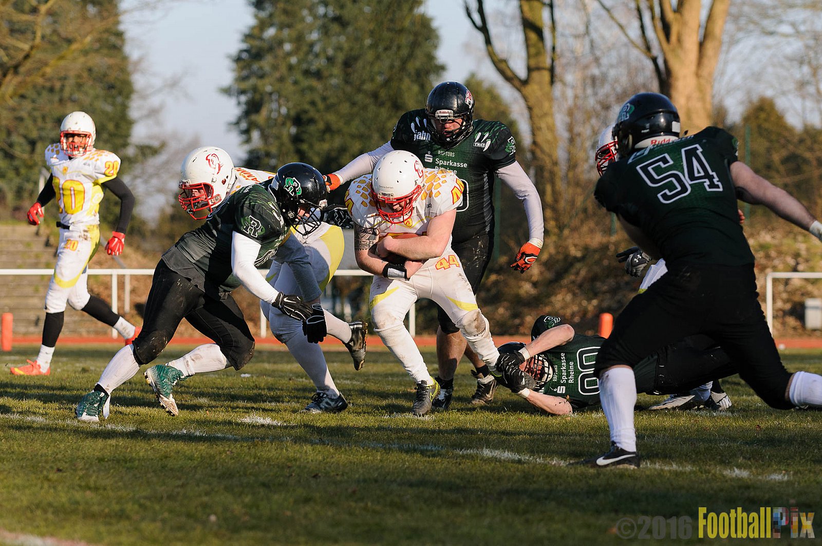 Pre-Season Game Rheine Raptors vs. Münster Mammuts  - 13.03.2016 Pre-Season Game: Rheine Raptors vs. Münster Mammuts (0:14)