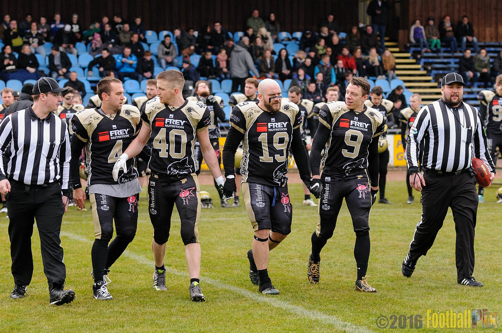 Pre-Season Game Paderborn Dolphins vs. Solingen Paladins - 20.03.2016 Pre-Season Game: Paderborn Dolphins vs. Solingen Paladins (21:6)