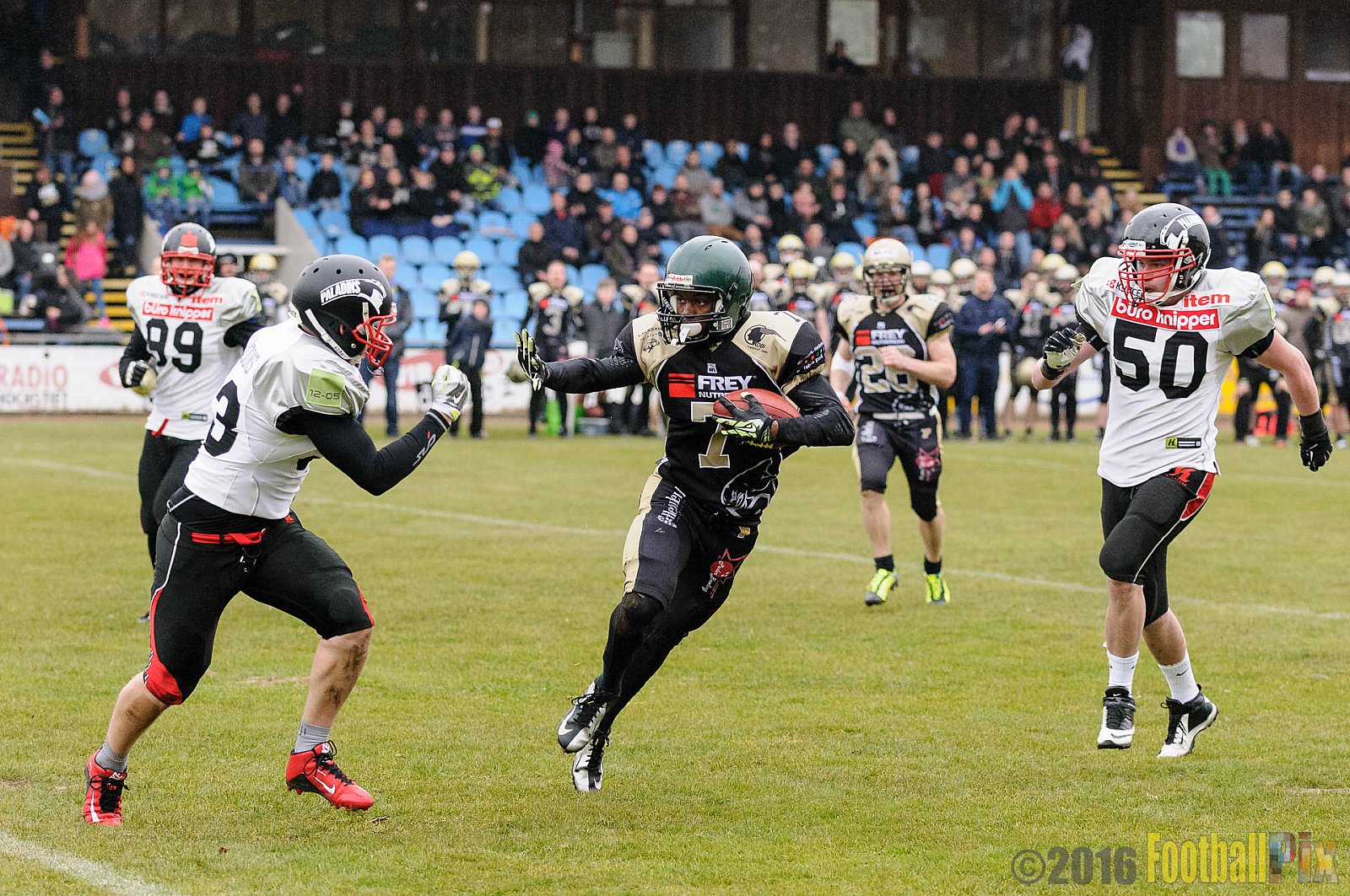 Pre-Season Game Paderborn Dolphins vs. Solingen Paladins - 20.03.2016 Pre-Season Game: Paderborn Dolphins vs. Solingen Paladins (21:6)