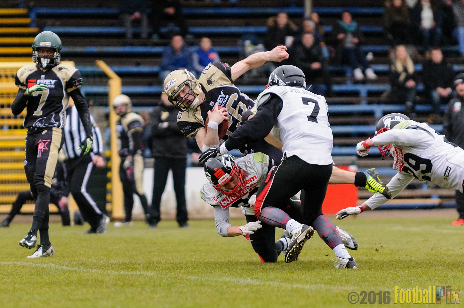 Pre-Season Game Paderborn Dolphins vs. Solingen Paladins - 20.03.2016 Pre-Season Game: Paderborn Dolphins vs. Solingen Paladins (21:6)