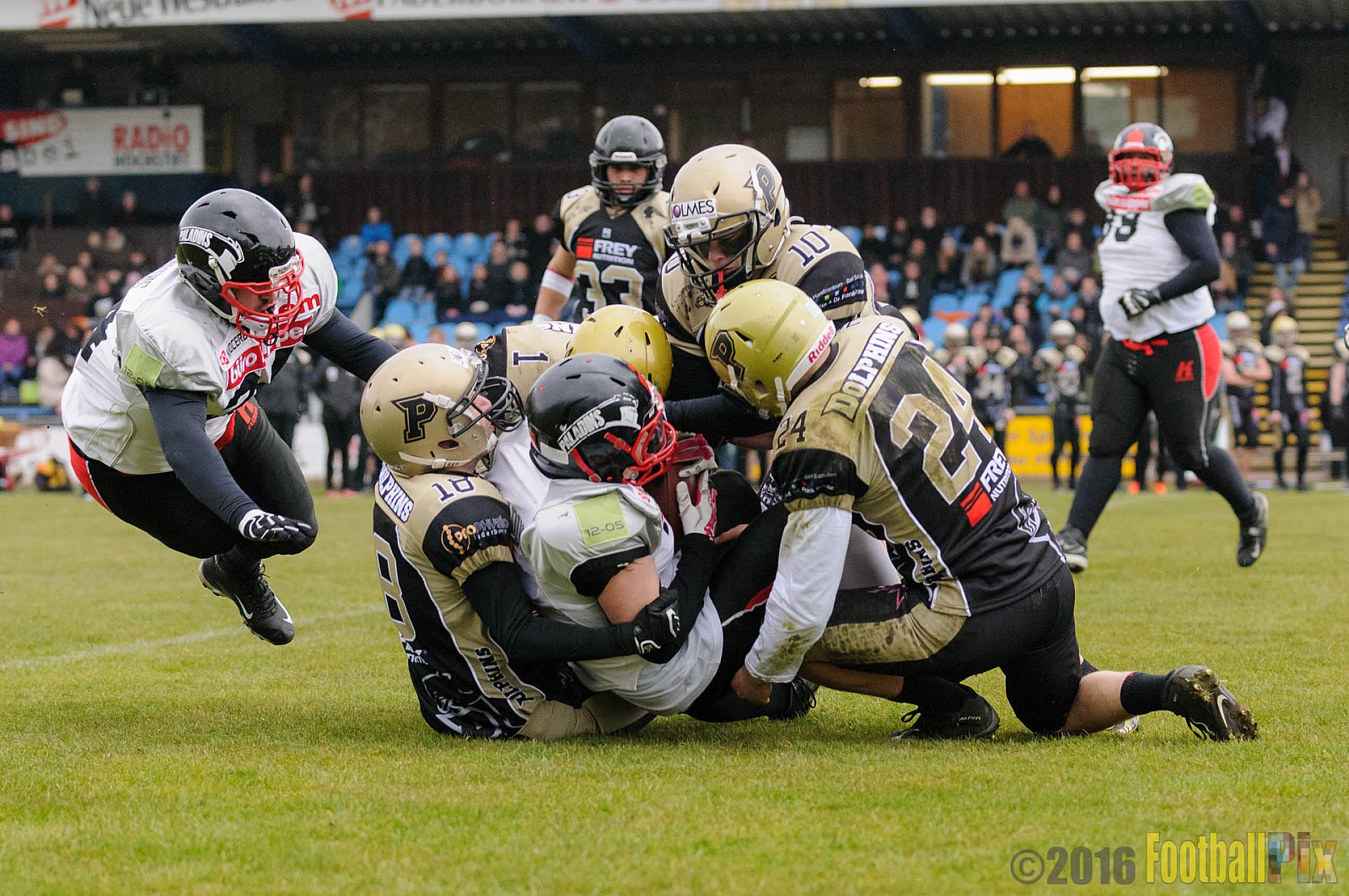 Pre-Season Game Paderborn Dolphins vs. Solingen Paladins - 20.03.2016 Pre-Season Game: Paderborn Dolphins vs. Solingen Paladins (21:6)
